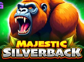 Majestic Silverback