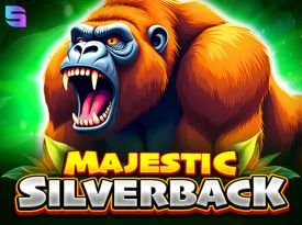 Majestic Silverback