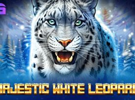 Majestic White Leopard
