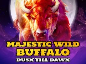 Majestic Wild Buffalo - Dusk Till Dawn