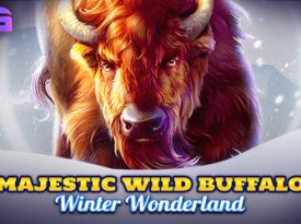Majestic Wild Buffalo - Winter Wonderland
