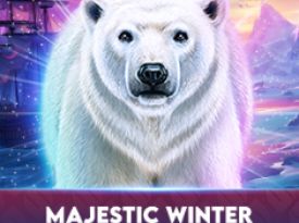 Majestic Winter - Polar Adventures