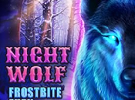 Night Wolf - Frostbite Fury