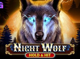 Night Wolf - Hold & Hit