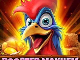 Rooster Mayhem