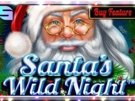 Santa’s Wild Night