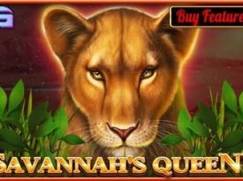 Savannah`s Queen