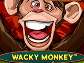 Wacky Monkey - ??Chase'N'Win