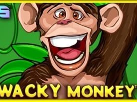 Wacky Monkey