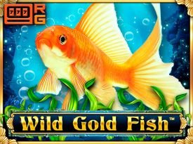 Wild Gold Fish