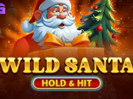 Wild Santa - Hold & Hit
