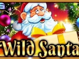 Wild Santa