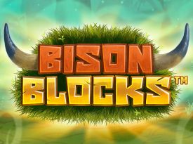 Bison Blocks