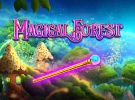 Magical Forest