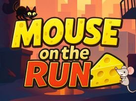 Mouse on the Run