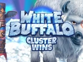 White Buffalo