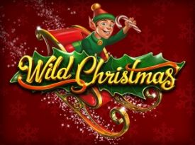 Wild Christmas