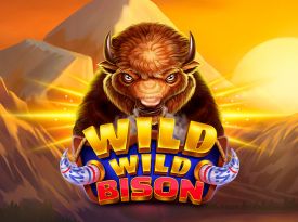 Wild Wild Bison