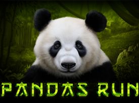 Panda's Run