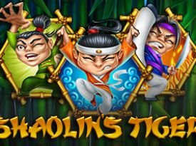 Shaolin's Tiger