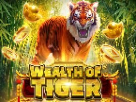 Wealth of Tiger