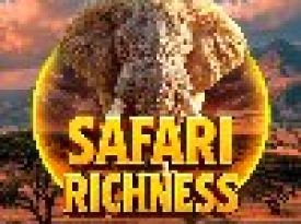 Safari Richness