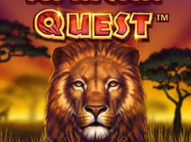 African Quest