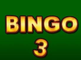 Bingo 3