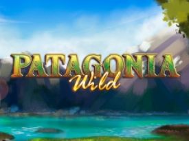 Patagonia Wilds