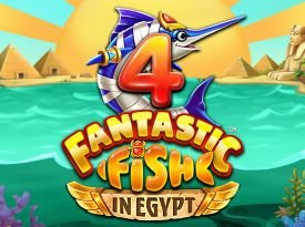 4 Fantastic Fish in Egypt