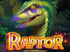 Raptor Doublemax