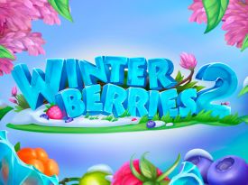 Winterberries 2