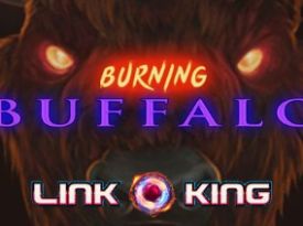 Burning Buffalo