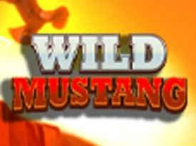 Wild Mustang