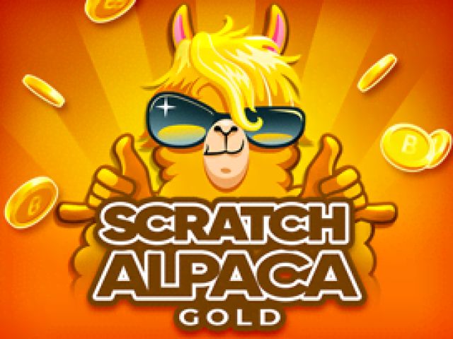 Scratch Alpaca Gold