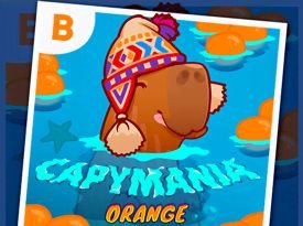 Capymania Orange