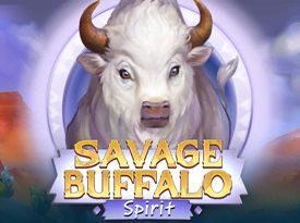 Savage Buffalo Spirit