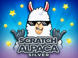 Scratch Alpaca Silver