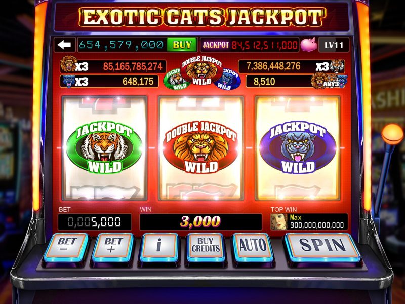 The Basic Rules of How to Play Slot Machines Online